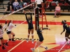 APSU Volleyball vs. Murray State (235)