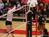 APSU Volleyball vs. Murray State (238)