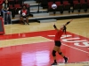 APSU Volleyball vs. Southeast Missouri