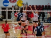 apsu-vs-belmont-volleyball-11-1-2013-19