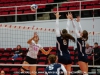 apsu-vs-belmont-volleyball-11-1-2013-2