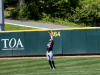 Austin Peay Baseball vs. UT Martin )