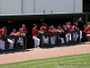 Austin Peay Baseball vs. UT Martin