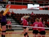 APSU Volleyball vs. Tennessee Tech (5)