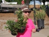 Blanchfield Army Community Hospital employee Mary Arrington carries plants to the hospital's new on-site therapeutic garden May 23, 2014 at the Fort Campbell hospital. More than 20 volunteers from the hospital and the local community came together to create the Army's first healing garden located within a medical facility's footprint. (U.S. Army photo by Stacy Rzepka/RELEASED)