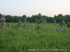 Soldiers of Bravo Company, 3-187 Infantry Regiment, 101st Airborne Division (Battlehard)