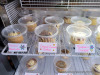 B's Cheesecakes, a Clarksville Delight