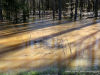 2019 February Clarksville Flood