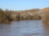 2019 February Clarksville Flood