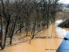 2019 February Clarksville Flood