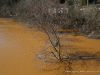 2019 February Clarksville Flood