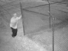 If anyone can identify the person in this photo, please call CrimeStoppers TIPS Hotline at 931.645.TIPS (8477).