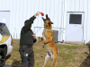 Clarksville Officer Casey Stanton and K9 Vader