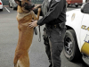 Clarksville Officer Casey Stanton and K9 Vader