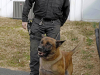 Clarksville Officer Casey Stanton and K9 Vader