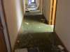 Clarksville Police report Four Juveniles cause over $300,000 in damage to Eubanks Office