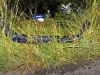 Ford Mustang went off an embankment after colliding with a Mazda Miata.  (Photo by CPD-Jim Knoll)