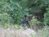 Clarksville Police work a single car accident with fatality on Ashland City Road.