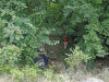 Clarksville Police work a single car accident with fatality on Ashland City Road.