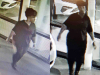 Clarksville Police are trying to identify the women in these photos for crashing into a Car Dealership October 13th.