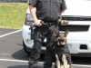 Clarksville Police Service Dogs Badge Presentation. (Photo by CPD-Jim Knoll)