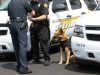 Clarksville Police Service Dogs Badge Presentation. (Photo by CPD-Jim Knoll)