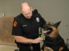 Clarksville Police Service dog getting his K-9 armor put on. (Photo by CPD-Jim Knoll)