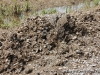 Some of the mud and gunk that had to be scrapped off the roads at Cross Creeks