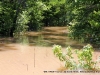 Yellow Creek at Gus Norfleet Bridge