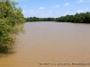 Yellow Creek at Gus Norfleet Bridge