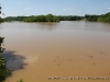 Yellow Creek at Gus Norfleet Bridge