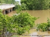 Flooding at Cumberland City