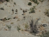 Currahees with 1st Platoon, 1st Battalion, 506th Infantry Regiment "Red Currahee," 4th Brigade Combat Team, 101st Airborne Division (Air Assault), pull security as they rest on a joint patrol with Afghan National Army soldiers with 6th Khandak, 1st Brigade, 203rd Corps, from Combat Outpost Wilderness, Afghanistan, Oct. 21, 2013. (U.S. Army photo by Staff Sgt. Todd A. Christopherson, 4th Brigade Combat Team Public Affairs)