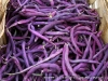 Royal Burgundy beans