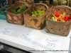 Various varieties of Peppers