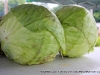 Lettuce