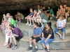 Dunbar Cave State Park Birds of Prey Program