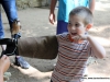 Dunbar Cave State Park Birds of Prey Program