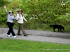 Dunbar Cave's Hummingbird and Butterfly Festival