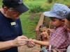 Dunbar Cave's Hummingbird and Butterfly Festival