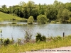 A flooded pasture field just off Hwy 39 heading into Dover TN.