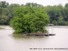 A floating boat dock with it\'s ramp underwater.