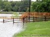 Stairs from a deck leading down to a boat dock flooded.