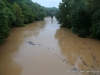 Flooding in Clarksville Tennessee (21)