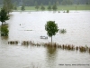 Flooding in Clarksville Tennessee (47)