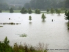 Flooding in Clarksville Tennessee (48)