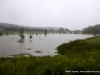 Flooding in Clarksville Tennessee (50)