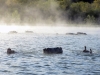 Following a physical fitness test, engineer Soldiers competing in the 2015 Best Sapper Competition took to the waters for the poncho raft swim event at Fort Leonard Wood, Mo., April 21, 2015. Sappers pulled a raft carrying their individual weapon and full ruck sack. Once out of the water, they had to reassemble their ruck and complete a five-mile foot march. (U.S. Army photo by Sgt. Samantha Parks, 1st Brigade Combat Team, 101st Airborne Division (Air Assault) Public Affairs)