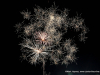 2018 Hilltop Supermarket Car and Fireworks show