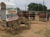 Kiwanis Rodeo 2008